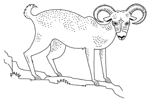 Μαθθαίννω Κυπριακά